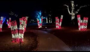 Nashville's Festive Season: Christmas Delights Await in Music City
