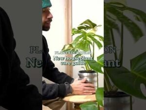 Peoria's Plantman: From Engineer to Botanical Entrepreneur