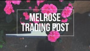Melrose Trading Post: LA's Iconic Flea Market Gem