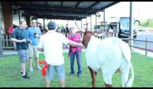 Summer Events in Houston 2025: Music, Arts, and Fun