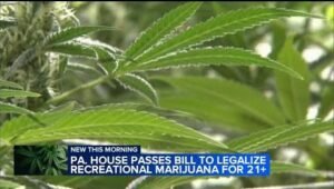Pennsylvania Cannabis Festival Advocates for Legalization and Reform