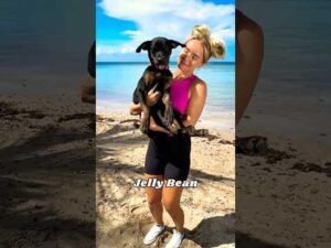 Abandoned Puppy Tater Finds Justice Through Community Action