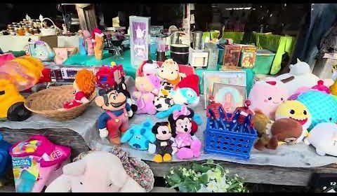 Baxter Flea Market 