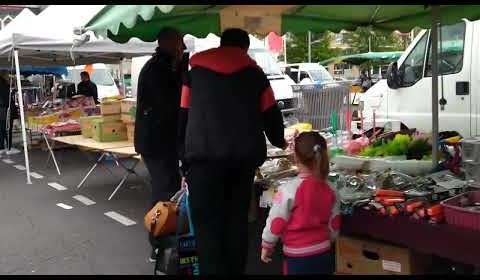 Latest Flea Market News: Discover Unique Finds and Local Treasures
