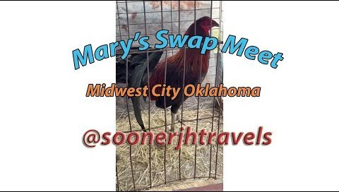 Marys Swap Meet 