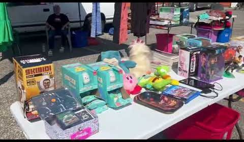 Capitol Flea Market 