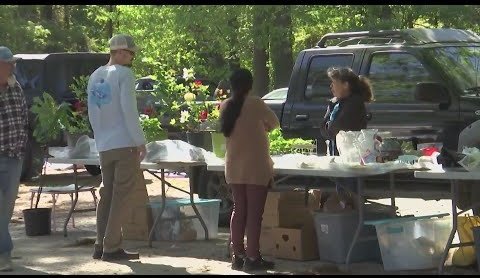 Wayne County Flea Market 