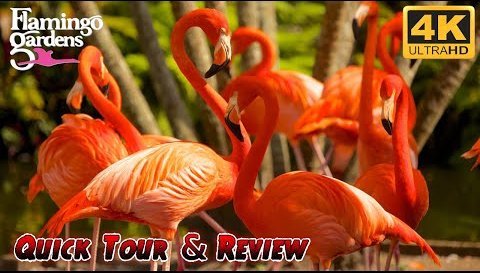 Flamingo Gardens Benefit Flea Market 