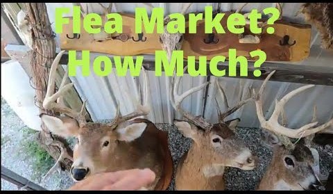 T and T Flea Market 
