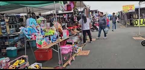 Napa Flea Market 