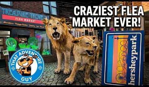 Higgins Diggins Lions Flea Market 