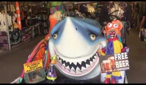 Wagonwheel Flea Market 