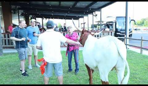 Summer Events in Houston 2025: Music, Arts, and Fun