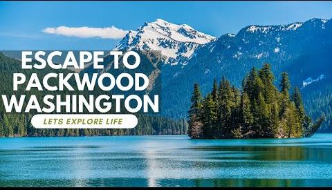 Discover Packwood, Washington: Elk, Craft Brews, and Scenic Treasures