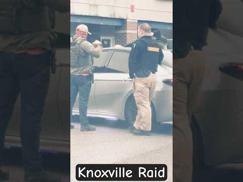 HSI Dallas Seizes $1.3M Counterfeit Goods in Canton Raid