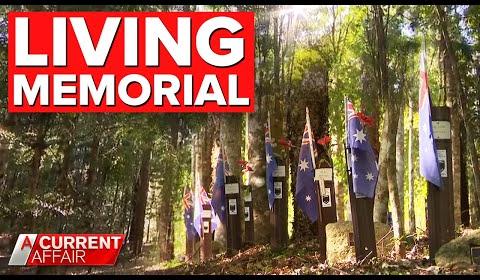 Remembering Raedene Linderman: Wellington Matriarch and Antique Enthusiast