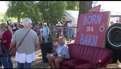 Discover Wyoming’s Unique Charm Through Antique-Filled Flea Markets